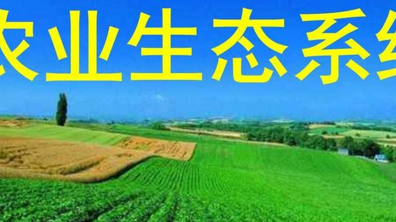 智慧农业园区水肥一体化设计方案：原理与实施要点