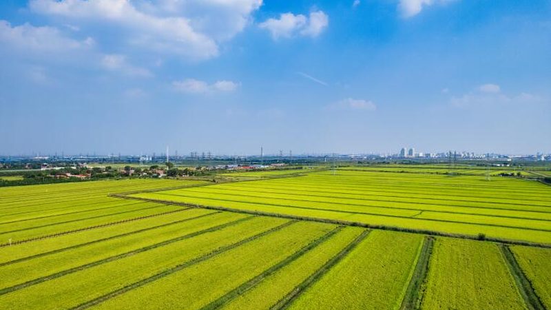 合作社在享受国家规定的税收优惠政策方面，可以享受以下减免：