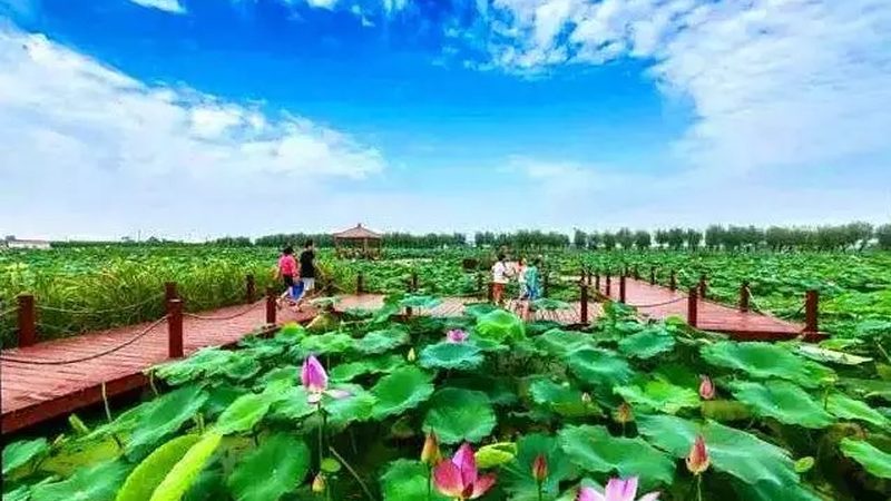 线上线下融合，农产品定价新格局