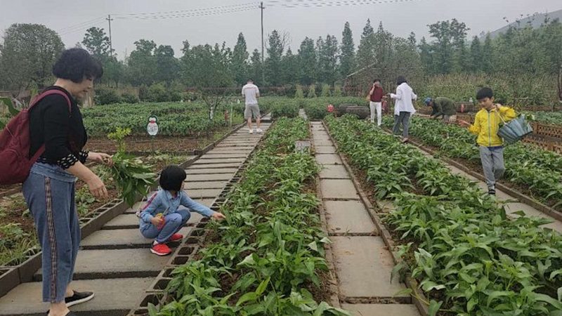 农民专业合作社财务管理制度模板下载