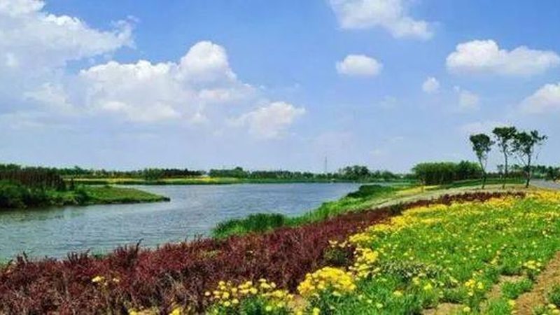 成都农产品批发市场进货攻略