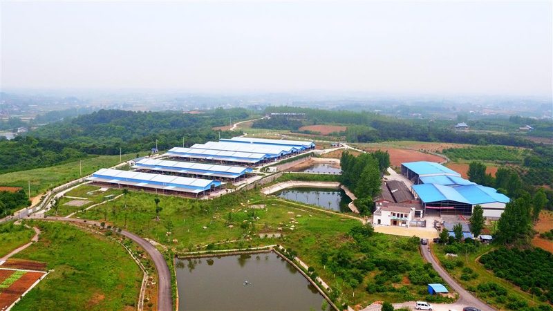 广州社区生鲜配送平台：构建健康生活的最后一公里