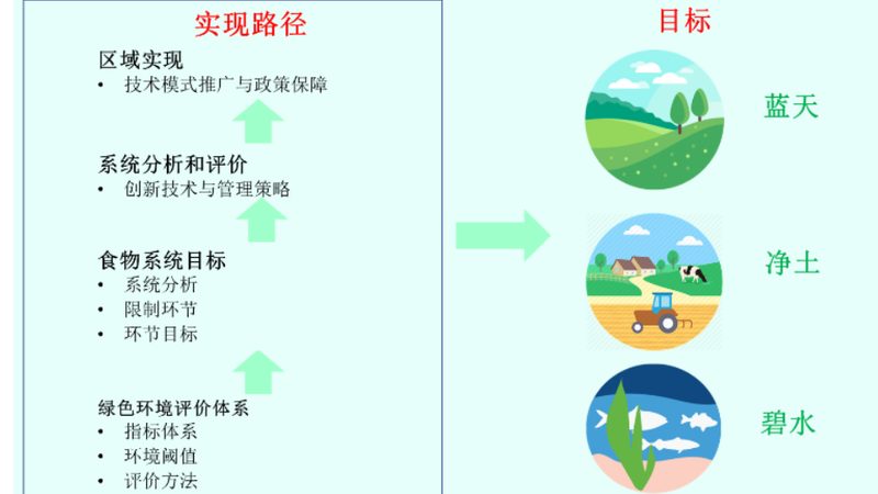 玉米种子如何选择？揭秘粮食种植厂家直销的关键要素**