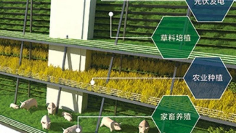 果蔬配送资质办理时间：从申请到拿证要多久