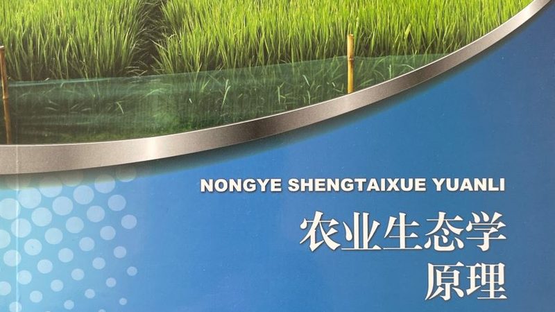 蔬菜配送，价格波动背后的市场逻辑**