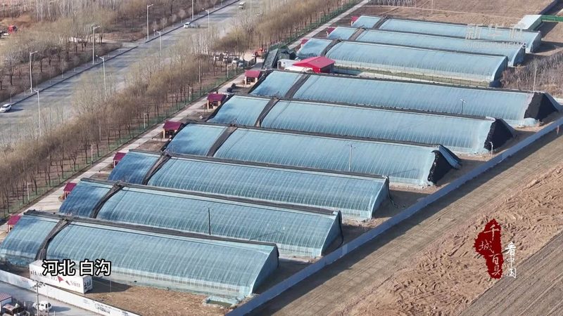 社区果蔬配送怎么做流程