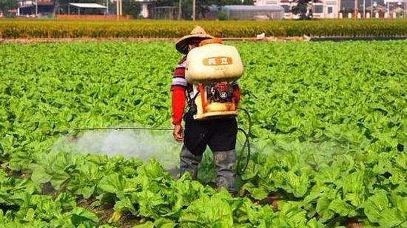 智慧农业解决方案：揭秘行业发展趋势与选型要点
